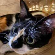 ヒメ日記 2025/06/21 18:46 投稿 安達みすず ギン妻パラダイス 谷九店