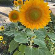 ヒメ日記 2025/07/25 17:09 投稿 安達みすず ギン妻パラダイス 谷九店