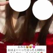 ヒメ日記 2024/12/22 09:57 投稿 ここあ 三つ乱本館