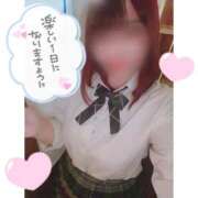 ヒメ日記 2026/02/25 20:37 投稿 ここあ 三つ乱本館