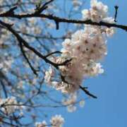 ヒメ日記 2025/04/11 18:48 投稿 古賀ゆあ 福井性感回春アロマSpa