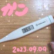 ヒメ日記 2023/09/09 11:36 投稿 かこ きゃんでぃドロップス