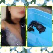 ヒメ日記 2025/03/09 16:05 投稿 みう モアグループ川越人妻花壇