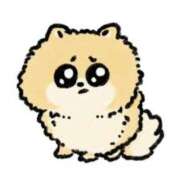 ヒメ日記 2025/05/24 15:12 投稿 はな 栃木小山ちゃんこ