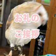 ヒメ日記 2025/05/26 22:29 投稿 はな 栃木小山ちゃんこ