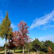 ヒメ日記 2024/12/09 20:25 投稿 遥香 東京人妻フォーシーズンズ