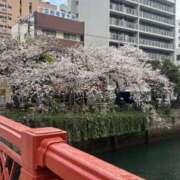 ヒメ日記 2025/04/04 15:52 投稿 みさき エマニエル