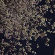 ヒメ日記 2025/04/08 00:25 投稿 みさき エマニエル