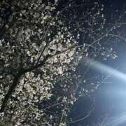 ヒメ日記 2026/03/24 22:12 投稿 みさき エマニエル