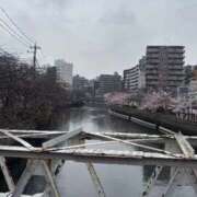 ヒメ日記 2026/03/25 16:12 投稿 みさき エマニエル