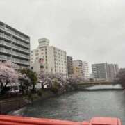 ヒメ日記 2026/03/31 18:31 投稿 みさき エマニエル