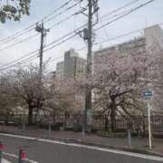 ヒメ日記 2026/04/07 16:02 投稿 みさき エマニエル