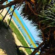 ヒメ日記 2025/11/13 07:48 投稿 せいら 多恋人 新宿店