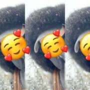 ヒメ日記 2026/02/08 08:21 投稿 せいら 多恋人 新宿店