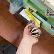 ヒメ日記 2026/07/11 14:17 投稿 せいら 多恋人 新宿店