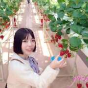 ヒメ日記 2025/04/19 05:31 投稿 ゆづき 深海魚