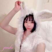 ヒメ日記 2025/12/07 05:27 投稿 ゆづき 深海魚