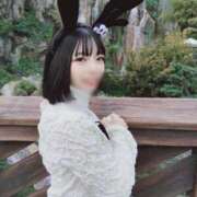 ヒメ日記 2026/02/25 11:32 投稿 ゆづき 深海魚