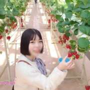 ヒメ日記 2026/04/02 19:30 投稿 ゆづき 深海魚