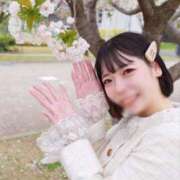 ヒメ日記 2026/04/15 20:01 投稿 ゆづき 深海魚