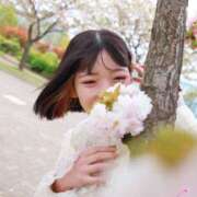 ヒメ日記 2026/04/16 10:35 投稿 ゆづき 深海魚