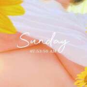 ヒメ日記 2025/07/15 14:55 投稿 みゆき 佐賀人妻デリヘル 「デリ夫人」