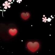 ヒメ日記 2026/03/03 07:29 投稿 みゆき 佐賀人妻デリヘル 「デリ夫人」