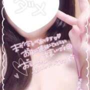 ヒメ日記 2024/12/13 11:01 投稿 かりん 山梨甲府甲斐ちゃんこ