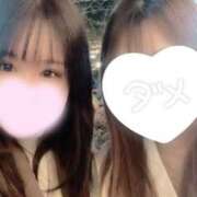 ヒメ日記 2025/04/19 00:01 投稿 かりん 山梨甲府甲斐ちゃんこ