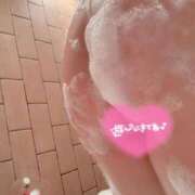 ヒメ日記 2025/04/19 17:09 投稿 かりん 山梨甲府甲斐ちゃんこ