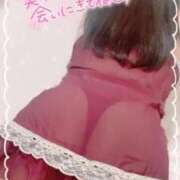 ヒメ日記 2025/04/21 17:41 投稿 かりん 山梨甲府甲斐ちゃんこ