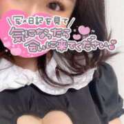 ヒメ日記 2025/06/12 09:45 投稿 かりん 山梨甲府甲斐ちゃんこ