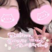 ヒメ日記 2025/07/07 19:09 投稿 かりん 山梨甲府甲斐ちゃんこ