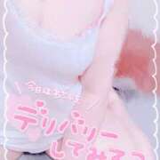 ヒメ日記 2025/07/10 12:30 投稿 かりん 山梨甲府甲斐ちゃんこ