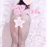 ヒメ日記 2025/10/17 19:42 投稿 かりん 山梨甲府甲斐ちゃんこ