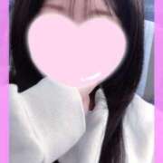 ヒメ日記 2025/11/12 14:30 投稿 かりん 山梨甲府甲斐ちゃんこ