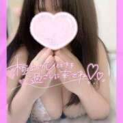 ヒメ日記 2025/11/14 15:21 投稿 かりん 山梨甲府甲斐ちゃんこ