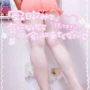 ヒメ日記 2026/02/27 20:38 投稿 かりん 山梨甲府甲斐ちゃんこ