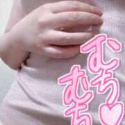 ヒメ日記 2026/02/28 12:43 投稿 かりん 山梨甲府甲斐ちゃんこ