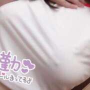 ヒメ日記 2026/04/20 14:30 投稿 かりん 山梨甲府甲斐ちゃんこ