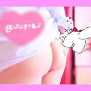 ヒメ日記 2026/05/16 14:30 投稿 かりん 山梨甲府甲斐ちゃんこ