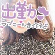ヒメ日記 2026/10/19 14:30 投稿 かりん 山梨甲府甲斐ちゃんこ