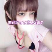 ヒメ日記 2026/02/18 12:30 投稿 まどか 変態なんでも鑑定団