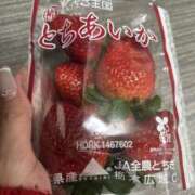 ヒメ日記 2024/12/14 03:48 投稿 ココナ びしょぬれ新人秘書