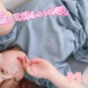 ヒメ日記 2025/03/26 09:01 投稿 めい 浜松駅前ちゃんこ