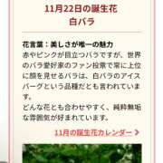 ヒメ日記 2023/11/22 19:41 投稿 ちょこ 川崎ソープ　クリスタル京都南町