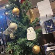 ヒメ日記 2024/12/14 00:05 投稿 ちょこ 川崎ソープ　クリスタル京都南町