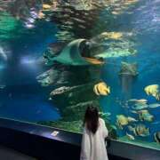 ヒメ日記 2025/02/03 05:36 投稿 ちょこ 川崎ソープ　クリスタル京都南町