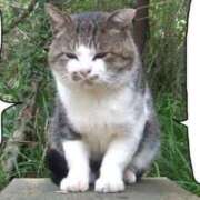 ヒメ日記 2025/03/02 19:20 投稿 ちょこ 川崎ソープ　クリスタル京都南町