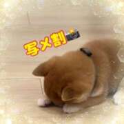 ヒメ日記 2025/03/14 07:19 投稿 ちょこ 川崎ソープ　クリスタル京都南町